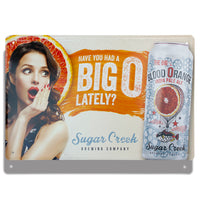12" x 18" Embossed Aluminum Metal Signs | 5012-PS | PS-4C - Dixiline